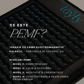 Преносима постелка PEMF Go